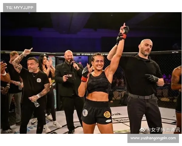 mma顶级赛事 mma顶级赛事