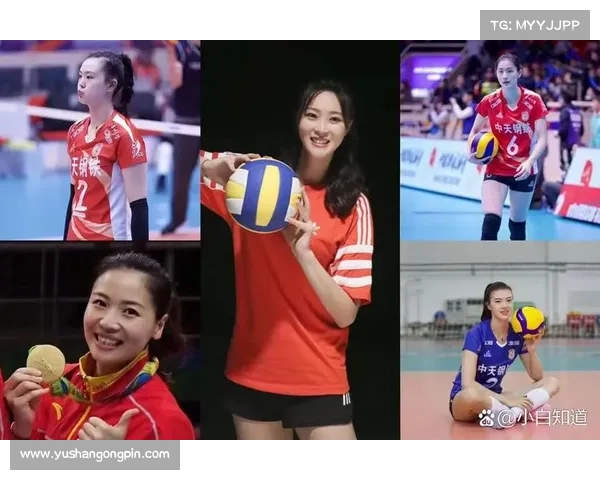 女排哪个是南京的