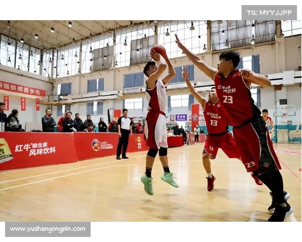 陕西篮球专业赛事,陕西篮球专业联赛激情开战荣耀共享新篇章