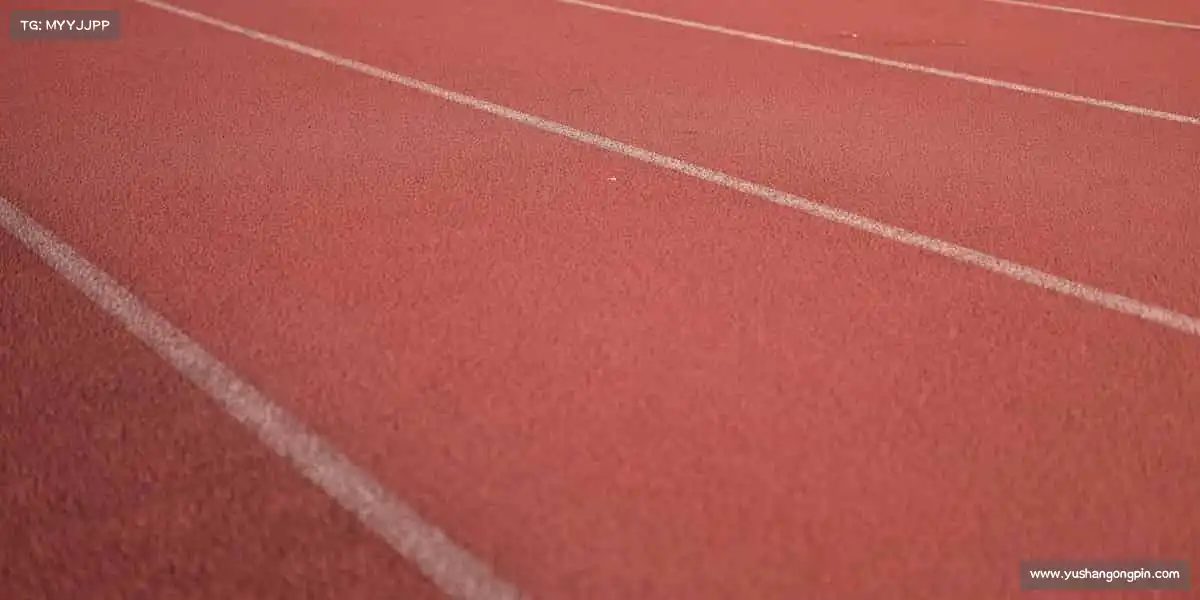 37000cm威尼斯——突破极限边界,每一步皆是超越!🏅