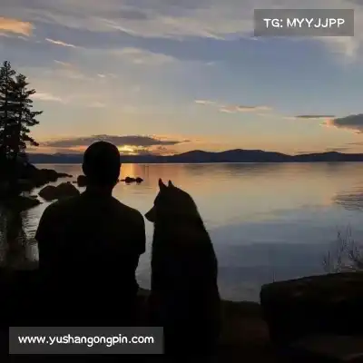 何眉愉